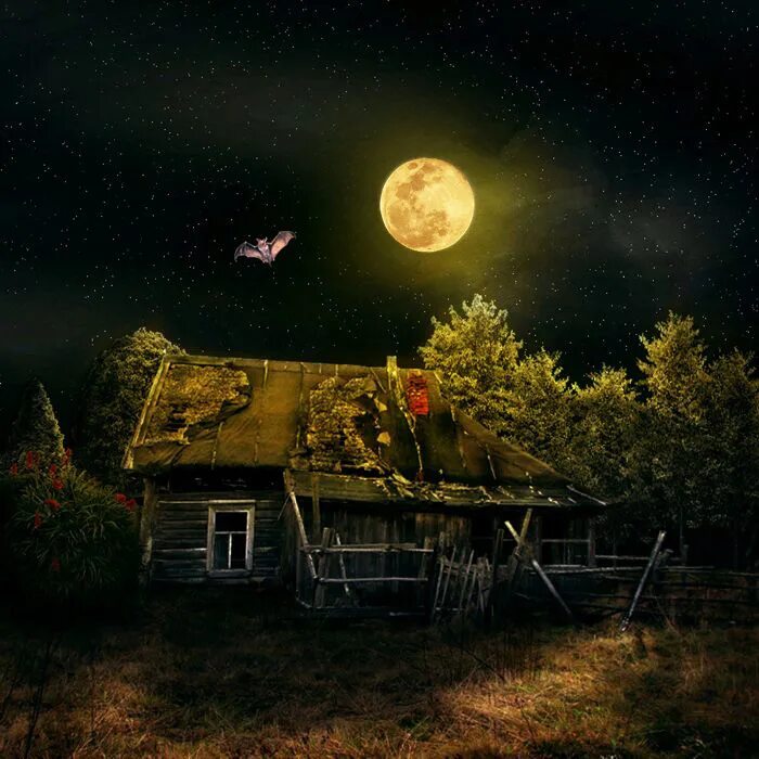 деревня в лесу ночью. ночной пейзаж с домом. дом в лесу ночью. ночь в деревне. лунная ночь в деревне.