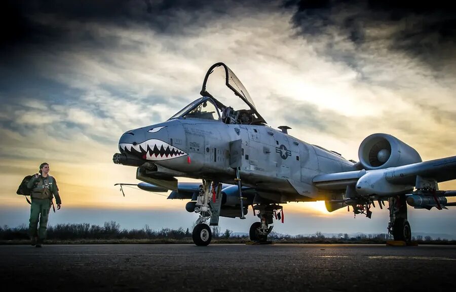 А-10 Тандерболт. Самолет a-10 Warthog. A-10a "Thunderbolt II". Бородавочник самолет а-10. 3a 10b 2