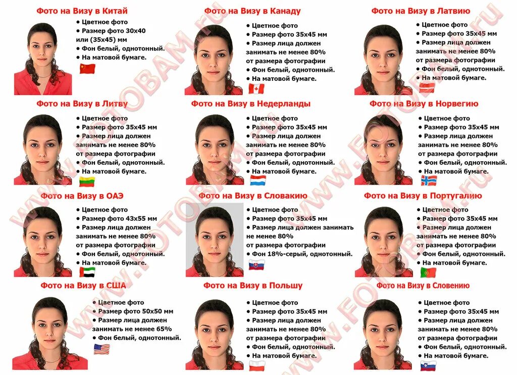 какие фотографии нужны для документов. образцы фотографий на документы. фотография 3х4. фотографии на документы. какие фотографии нужны для документов.