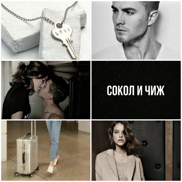 Читать сокол и чиж. Сокол и чиж янины логвин. сокол и чиж книга. янина логвин. логвин я. а. &quot;сокол и чиж&quot;.