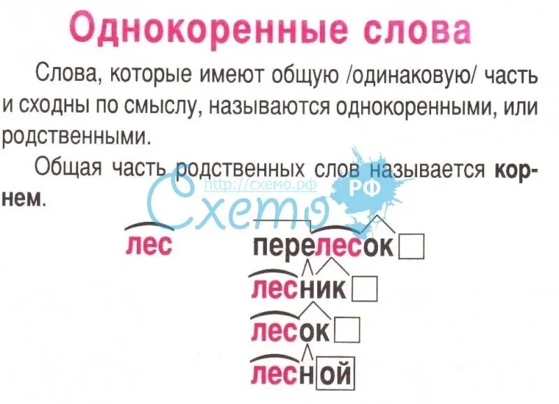 Подбери к именам прилагательные однокоренные существительные. Однокоренные слова таблица. Словарь однокоренных слов. Однокоренные слова схема. Однокоренные слова 2 класс.