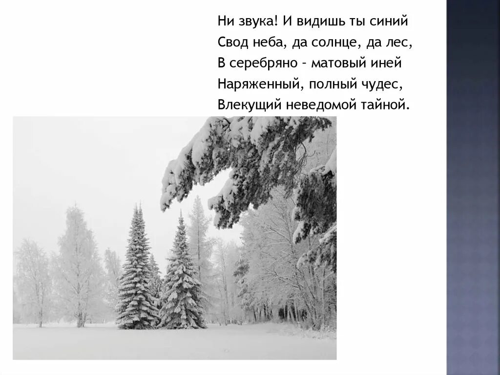 И видишь ты синий свод неба да солнце да лес. И видишь ты синий свод небес да солнце да лес запятые. Серебрянный лес стихотворение. Земля недвижна неба своды Пушкин. И видишь ты синий свод