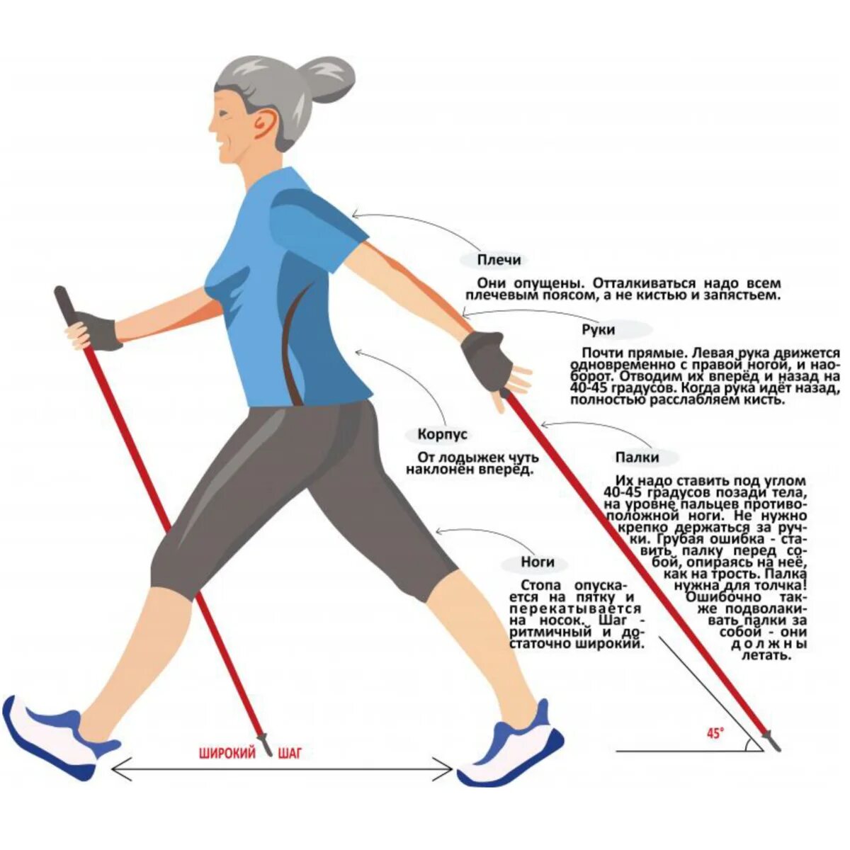 Какой длины палки для скандинавской ходьбы. Методика скандинавской ходьбы с палками для начинающих. Скандинавская ходьба с палками для начинающих. Ходьба со скандинавскими палками методика. Техника скандинавской ходьбы для начинающих с палками.