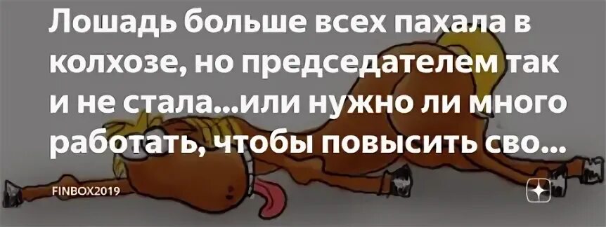 Но председателем колхоза так и не стала