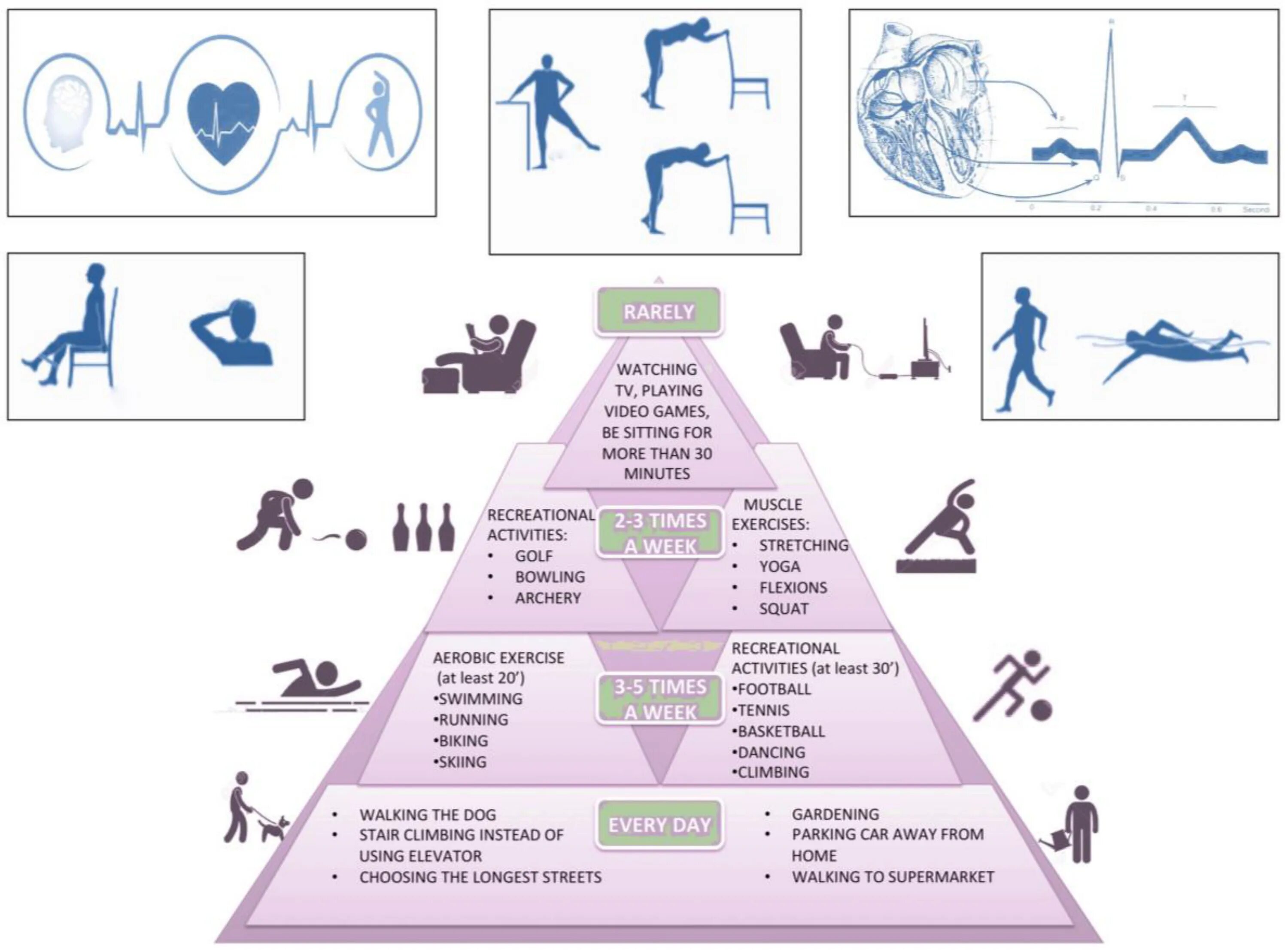 Recreational activities. Physical activity. Activities examples. Who physical activity recommendations.