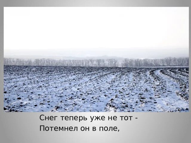 А между тем становилось темно. Снег теперь уже. Снег теперь уже не тот. Снег теперь уже не тот потемнел он в поле. Снег теперь уже не тот потемнел он в поле Маршак.