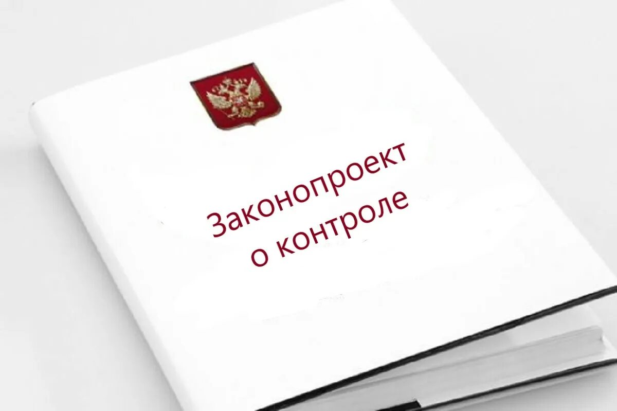 Минэкономразвития рф закупки. Государственный и муниципальный контроль. Закон о государственном контроле. ФЗ О гос контроле. 248 ФЗ О государственном контроле.