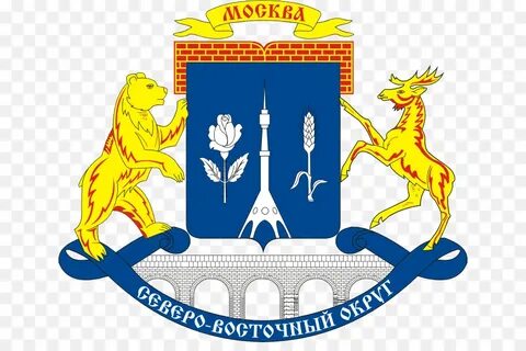Сфр свао