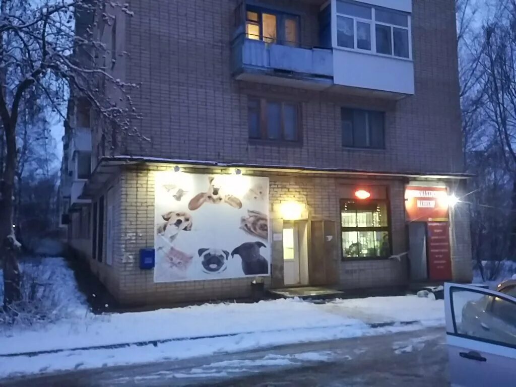 ветклиники смоленск адреса. ветклиники смоленск адреса. николаева 24. оршанская 23 ветеринарная клиника смоленск. ветеринарная клиника на смоленской.