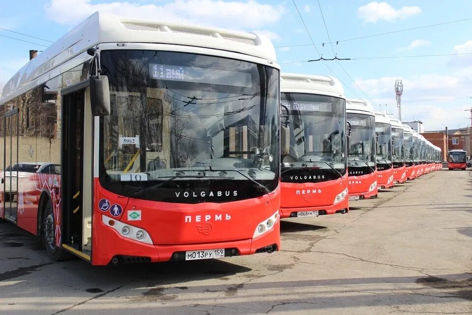 Автобусы Пермь. Автобус большой вместимости. Пермские автобусы новые. Пермский трамвай.