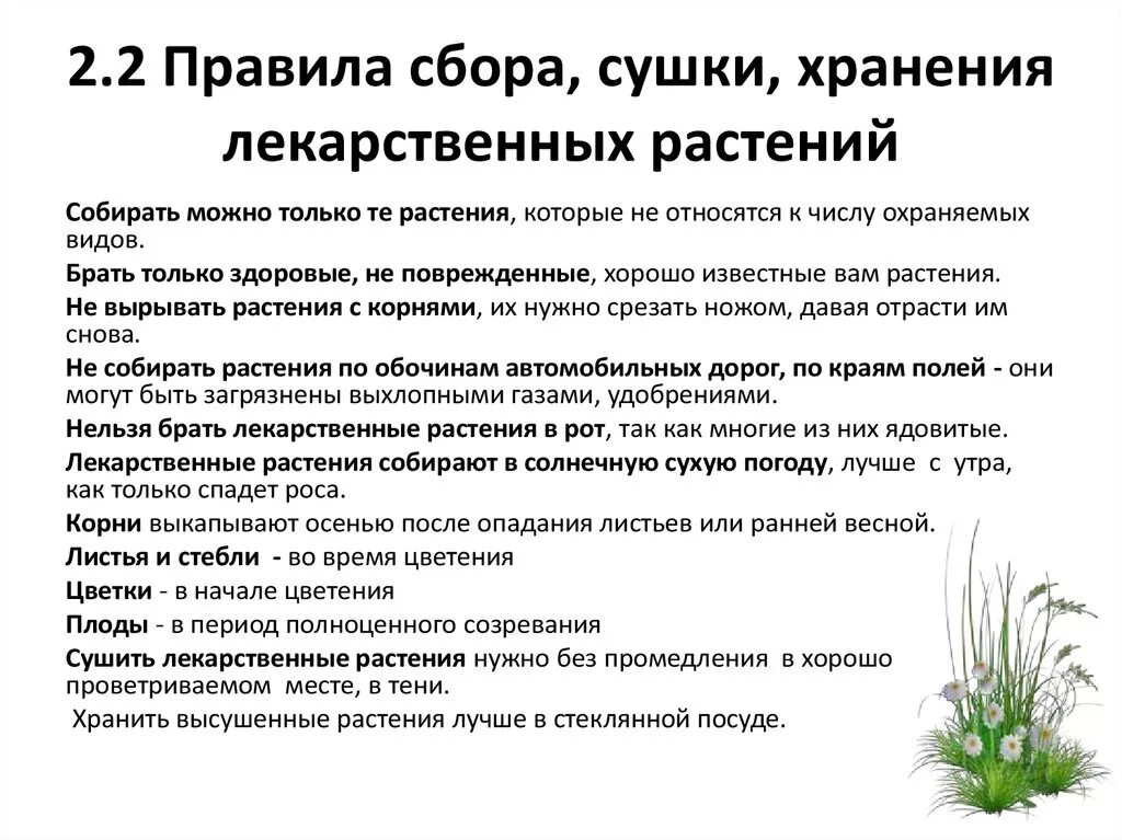 Памятка лекарственные растения. Сбор и хранение лекарственных растений. Сбор и сушка лекарственных растений. Порядок сбора лекарственных растений. Основные правила сборки