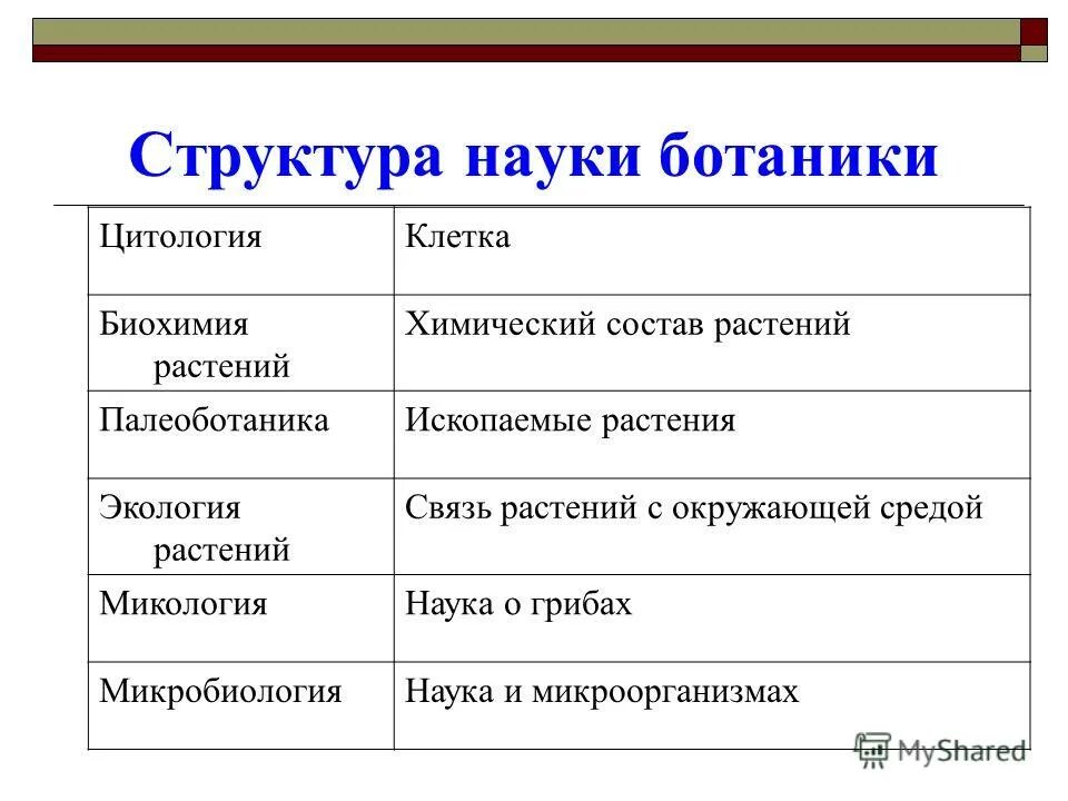 Области ботанической науки. Ботаника систематика растений. Отрасли ботанической науки. Значение ботаники 6 класс. Значение ботаники в образованиифармацефта.