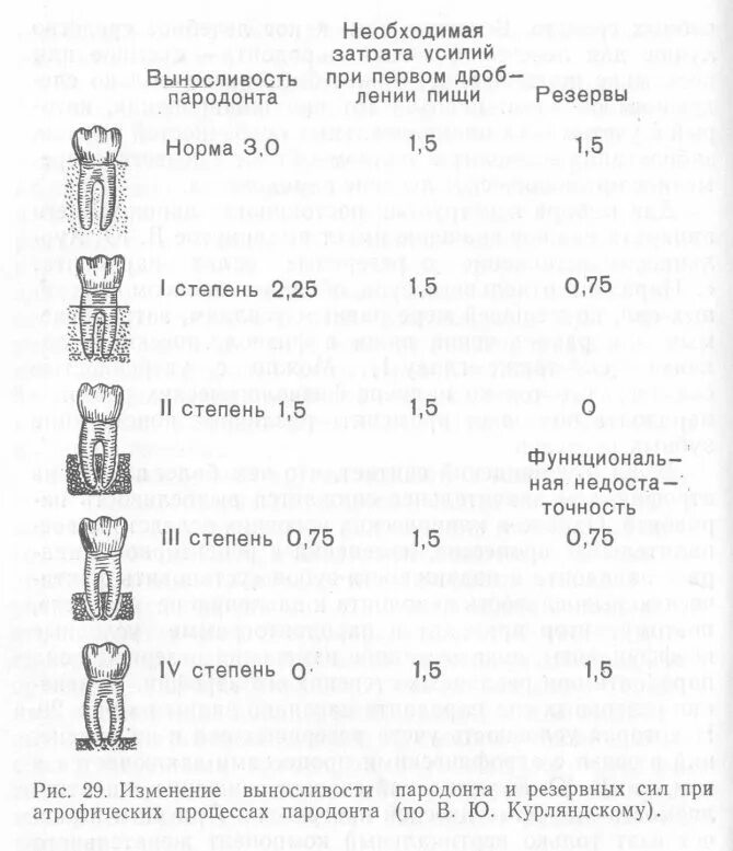 классификация беззубых челюстей по шредеру дойникову келлеру. степени атрофии. степени атрофии. степени атрофии. атрофия альвеолярного отростка классификация.