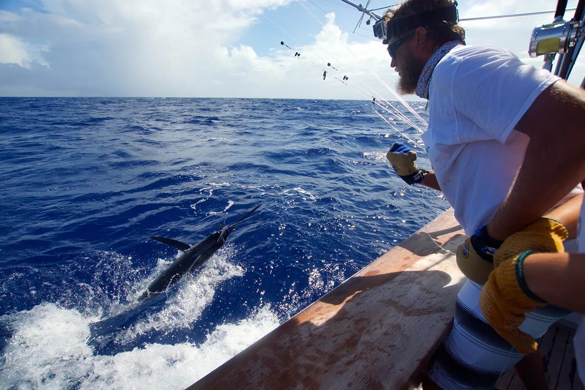 яхта на рыбалке морской. Sea catch. улов скумбрии. Sea catch. краболовы охотское море.