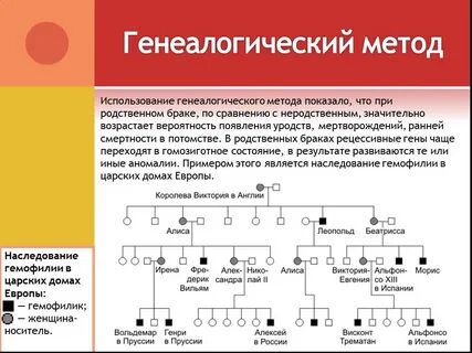 Признаки генеалогического метода