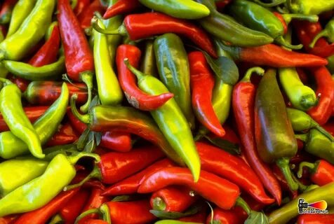 Much pepper