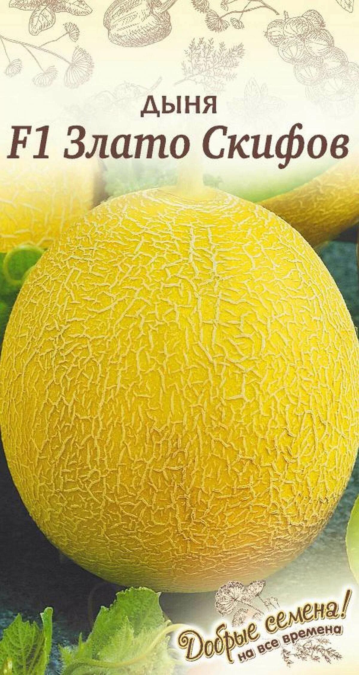 ). Дыня сорт злато скифов. Дыня злато. Дыня злато скифов f1. Гавриш.