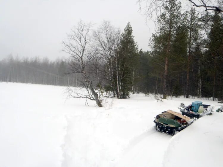 Рп5 ижма. Авторынок Ижма. Зимняя Ижма. Машины Ижма Сыктывкар. Город Ухта поселок Ижма.