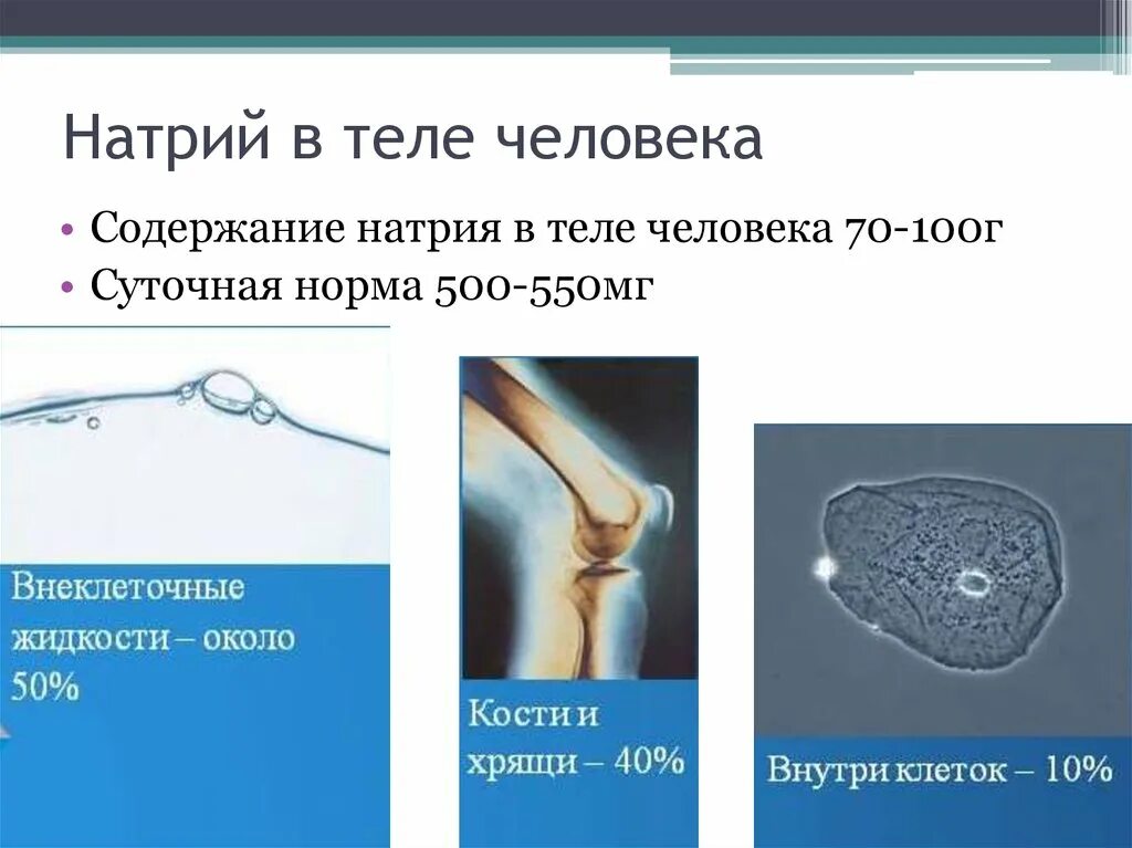 Натрий и вода в организме. Натрий в организме человека. Содержание натрия в организме. Натрий в теле человека. Роль натрия в организме человека.