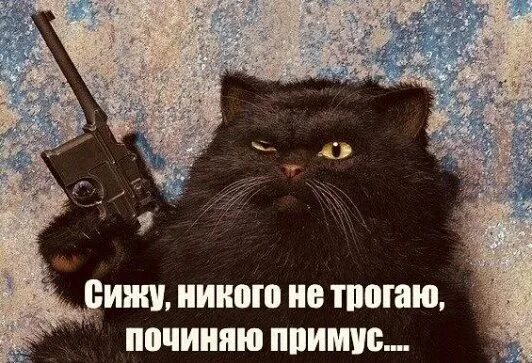 Сижу никого не трогаю починяю. Я примус починяю. никого не трогаю починяю примус цитата. кот бегемот примус починяю.