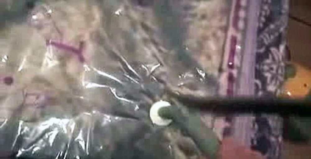 котенка дергает во сне. 1 boy 2 kittens original. Netflix cats. лука маньотта 2019. 1 boy 2 kittens original.