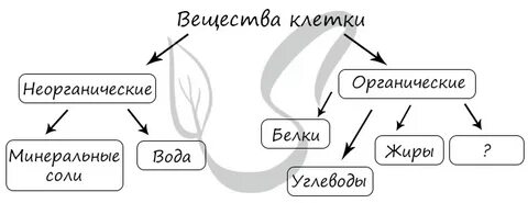 Тест минеральные вещества