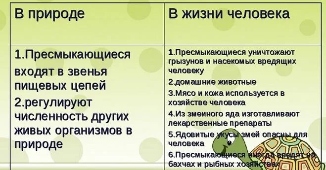 Значение пресмыкающихся. Значение пресмыкающихся в природе. Значение пресмыкающихся в природе и жизни человека. Роль рептилий в природе и жизни человека. Плюсы черепахи