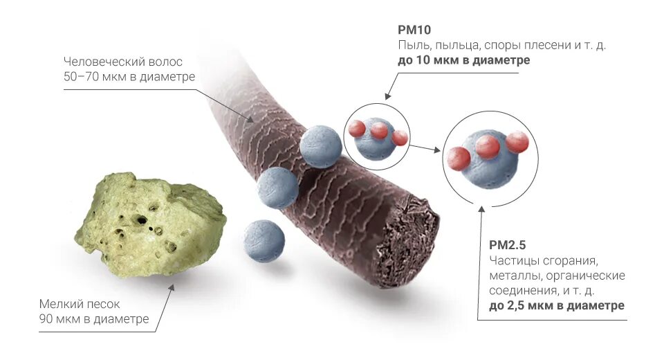 Частицы PM2.5 И pm10. PM 2.5 микрочастицы. Норма частиц PM 2.5. Частицы пыли PM 2,5. Воздействия твердых частиц