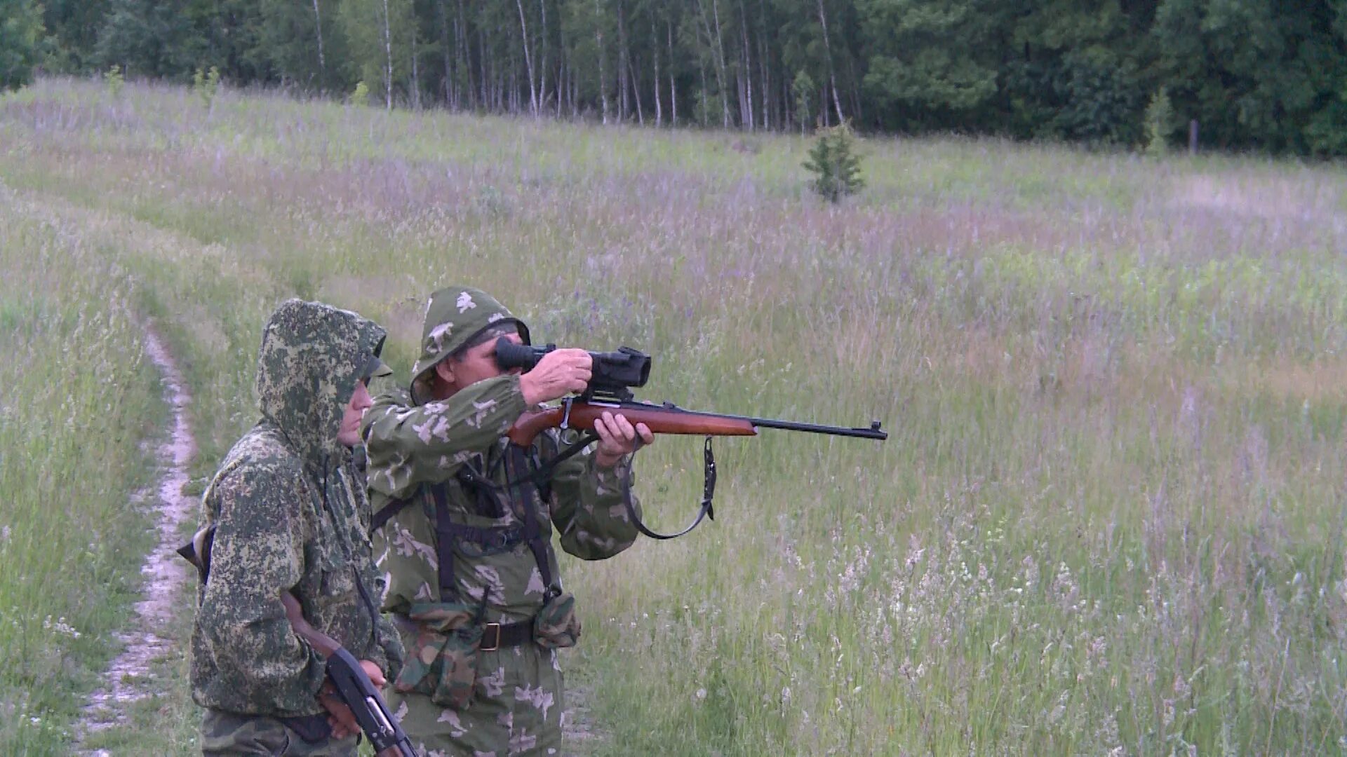 Глухарь охота в тайге зимой. Охота на сохатого с подхода зимой. Охота на кобона сподхода. Собака охотничья. Охота на косулю с подхода.