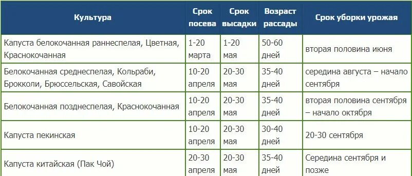 Когда посеять капусту в апреле 2024. Сроки посадки капусты таблица. Сроки посадки рассады. Сроки посева капусты на рассаду. Дата посадки рассады.