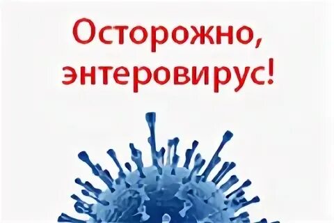 Кишечный энтеровирус