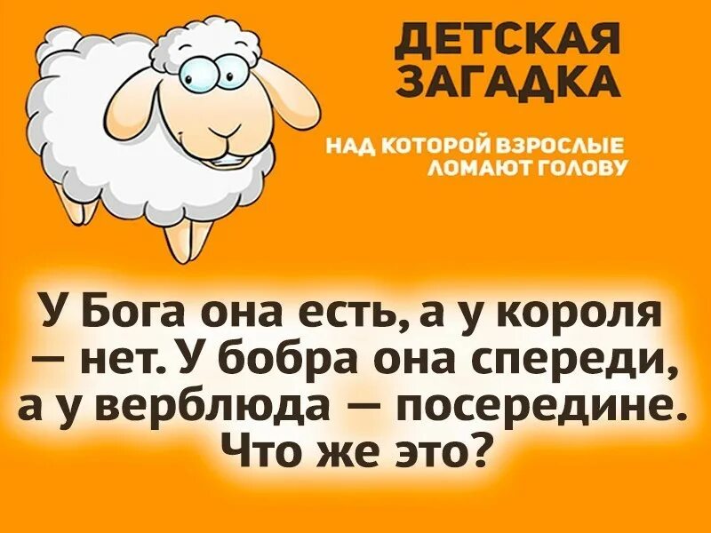 У барана спереди у араба. Загадки с юмором. Загадки для взрослых. Загадки на небе есть на земле нет. Загадки для взрослых загадки для взрослых.