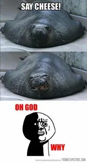 Funny say