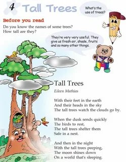 These are tall trees