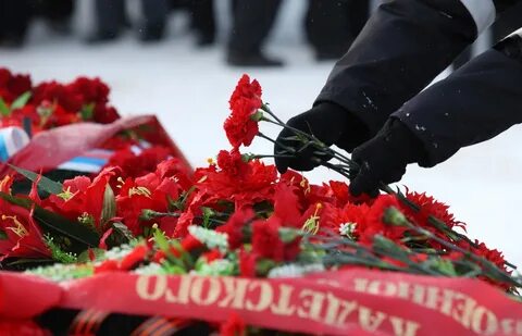 Пискаревка сегодня