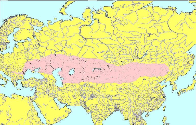 Степная евразия. Степи Евразии карта. Великая Евразийская степь. Карта Великой степи Евразии. Степная зона Евразии карта.
