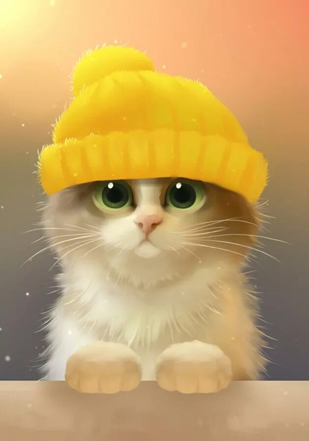 Смешной кот ватсап. Смешной кот ватсап
