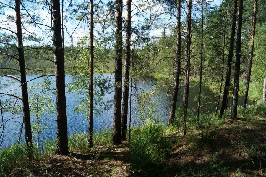 Озеро нижнее отзывы. Светлые озера Нижегородской области. Фролищенские озера Нижегородской. Озеро светлое Колпашевский район. Светлое озеро 2 Колпашево.