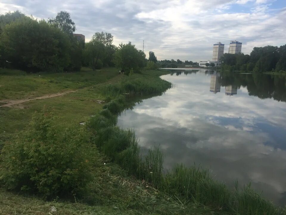 Речка серебрянка. Река Серебрянка в Пушкино. Речка Серебрянка в Пушкино. Пушкино Московская область река Серебрянка. Река Серебрянка Реутов.