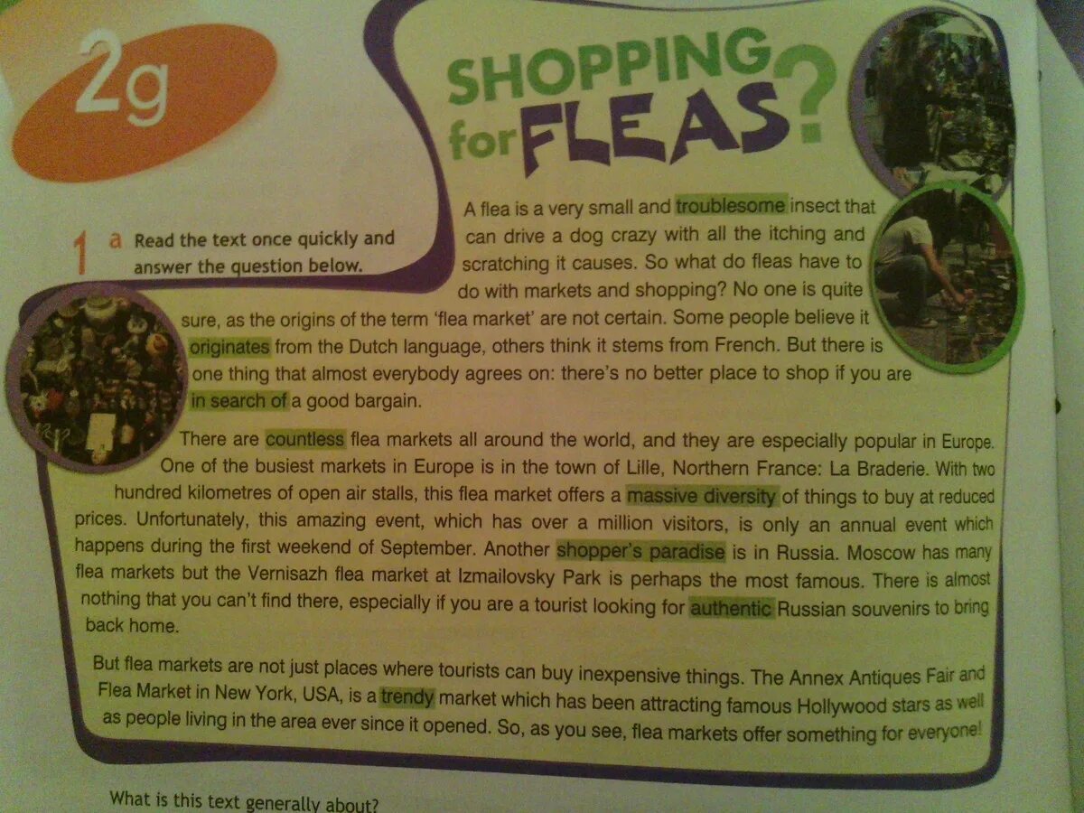 Перевод текста shopping. Shopping for Fleas. Перевод текста shopping for Fleas. 2g shopping for Fleas задание. Good ones текст