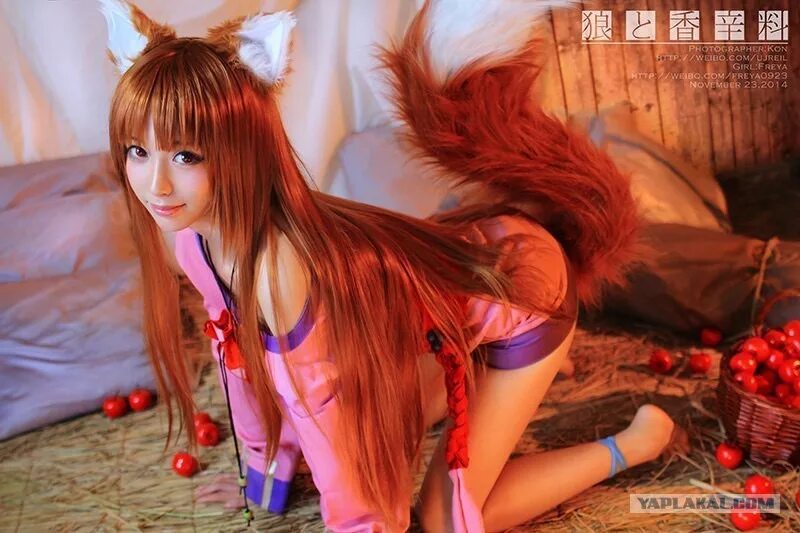 девушка и лиса. хвостик для девушек. кристина финк волчица и пряности. дэниэль бьюли. Horo cosplay кристина финк.