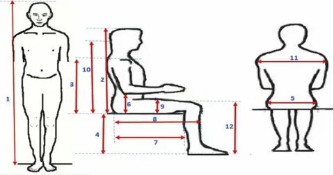 Sit 1 3 3