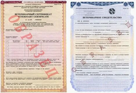 Срок ветеринарного сертификата