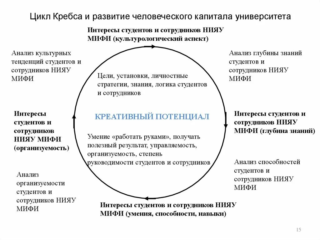 Цели человеческого капитала. Развитие человеческого капитала. Формирование человеческого капитала вуза. Цикл человеческого капитала. Факторы формирования человеческого капитала.