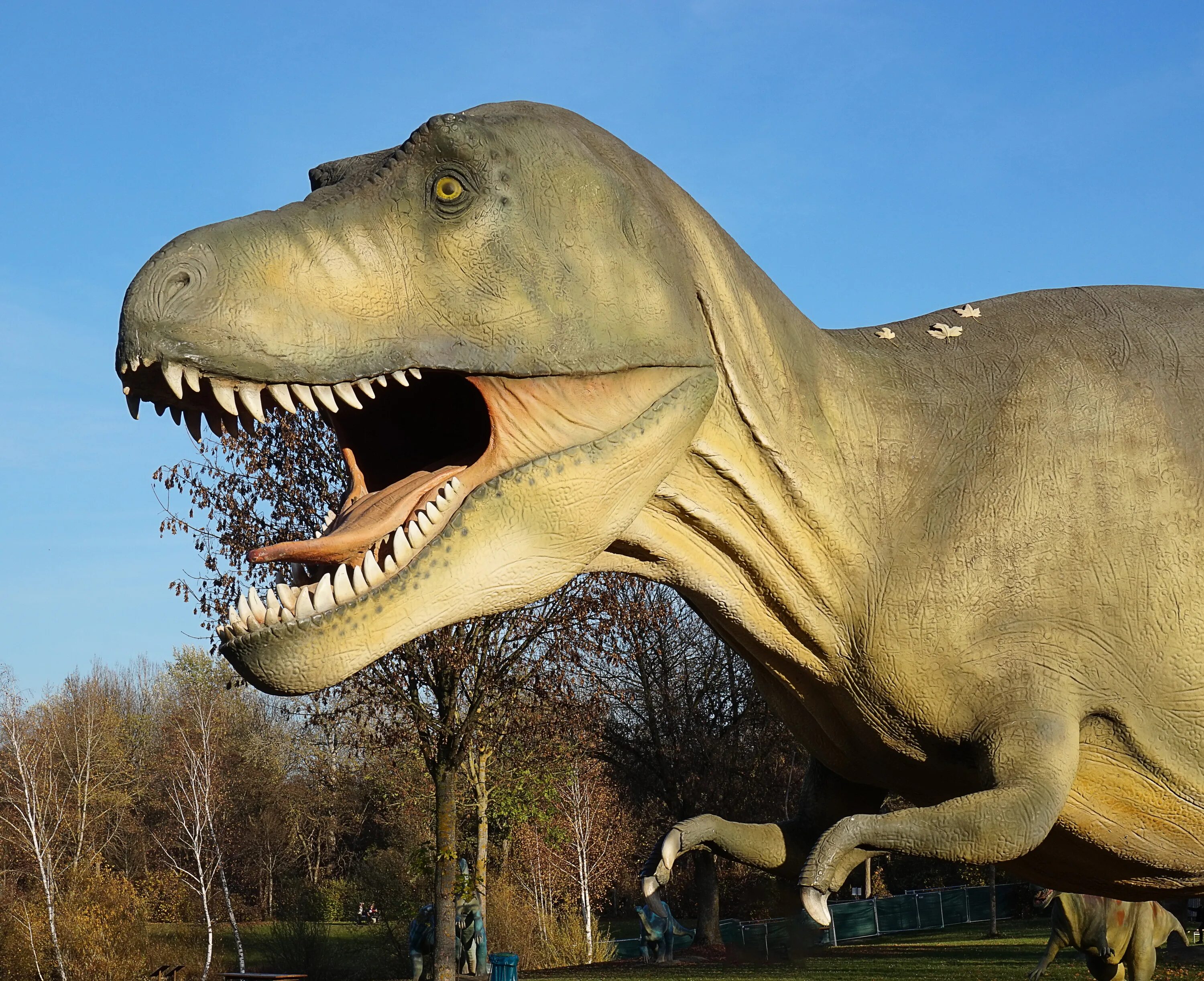 Динозавр форма. Динопарк-травоядные-динозавры. Тираннозавр Дино. Береславка динозавр. Настоящих динозавров.