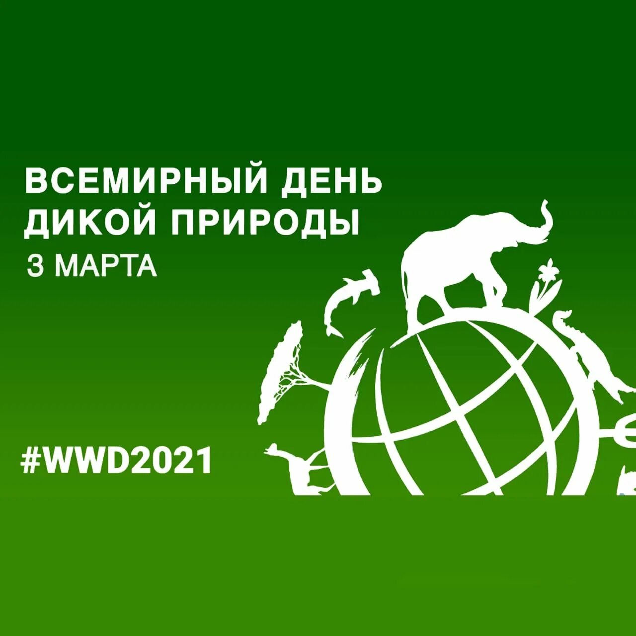 Всемирный день дикой природы мероприятия. Всемирный день дикой природы. День дикой природы 2021 Всемирный. Всемирныднь дикой природы. Всемирный день дикой природы эмблема.