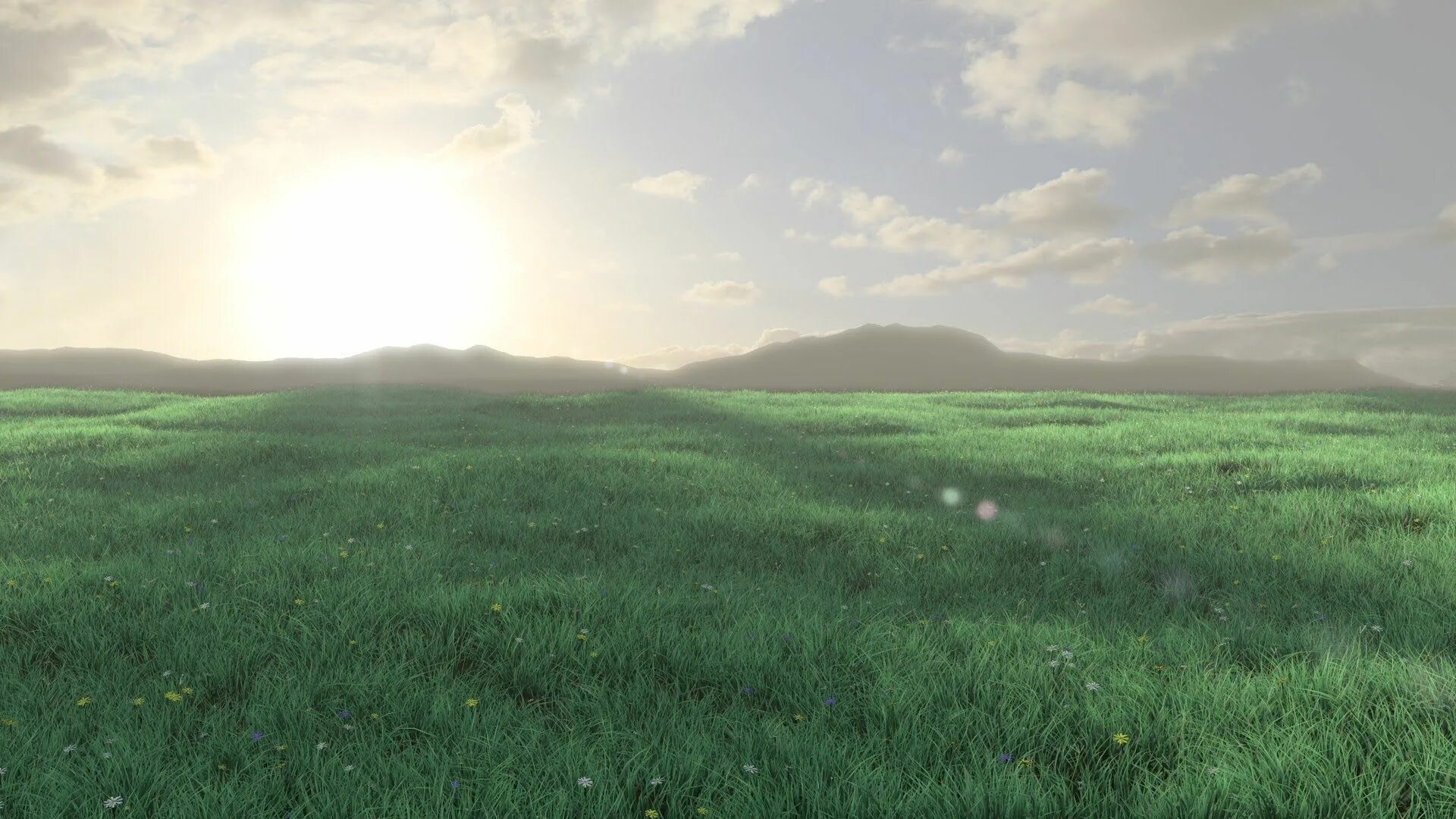 Blender background