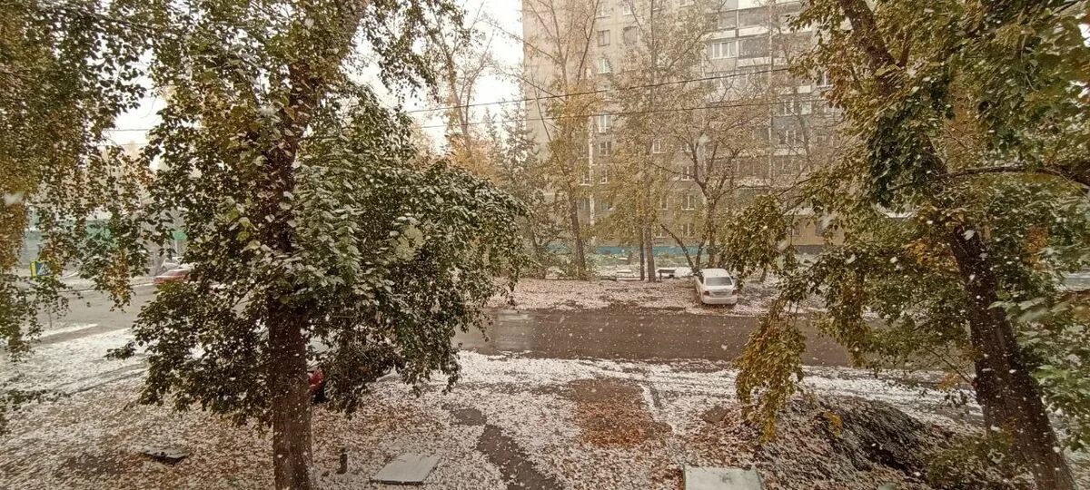 Барнаул сегодня фото снегопад