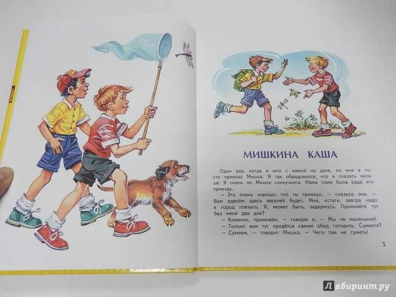 Иллюстрации к книжке Мишкина каша. Мишкина каша. Мишкина каша Носов иллюстрации. Мишкина песни