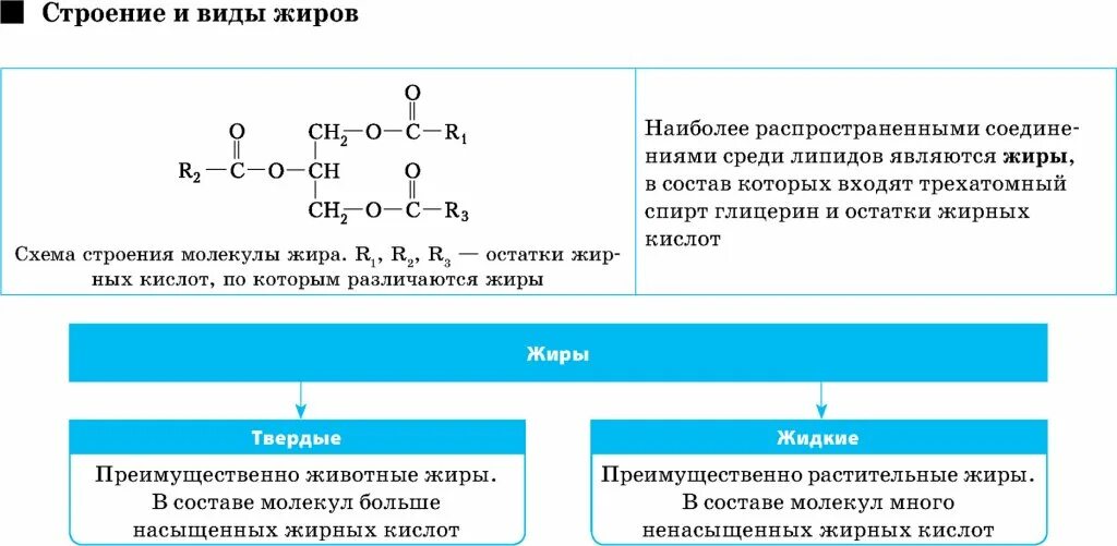 Виды жиров. Строение и виды жиров. Жиры виды жиров. Виды жиров таблица.